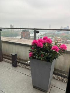 Best Penthouse in London - 7