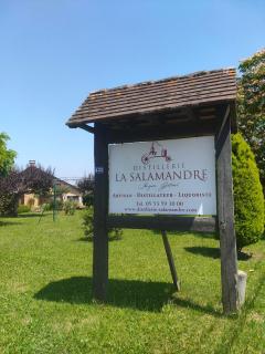 Villa la Salamandre Pool in Sarlat and Montignac - Sarlat-la-Canéda - 5