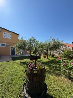 Apartment Lea, Cepljani - Čepljani - 7