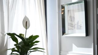 Suite Gordon Beach 2 BDR 2 BTH - Tel Aviv - 3