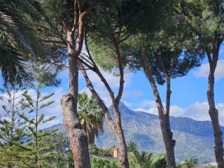 Palacio Suites Marbella - Marbella - 3