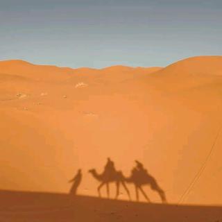 Sahara Merzouga Desert Glamping - Merzouga - 9