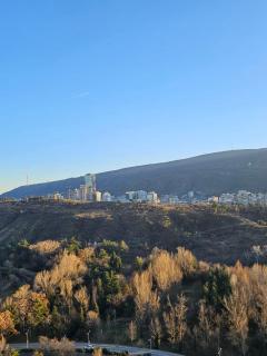 Tbilisi luxury 3 bedroom apartment in the city center - Tbilisi - 8