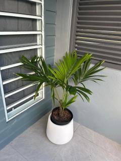 Xoop Homes - Zinnia #2 - Osbourn - 0