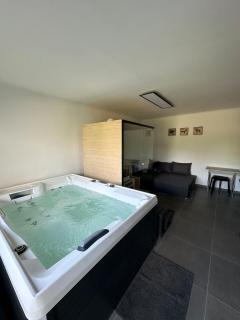 Ferienwohnung mit Pool und Sauna - Medebach - 0