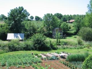 Orchid Lodge-The Good Life in France - La Chapelle-Thémer - 4