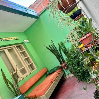 habitación doble, cama queen, terraza y plantas - Cochabamba - 3