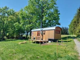 Benno der Wagen - kreativ gestaltetes Tiny House AM WALDRAND Nahezu Alleinlage Rennsteig Grünes Band NATUR PUR Hund willkommen - Tettau - 0