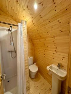 Birdie Glamping Pod - Great Totham - 5