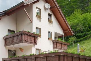Gästehaus Gerda - Bad Peterstal-Griesbach - 9