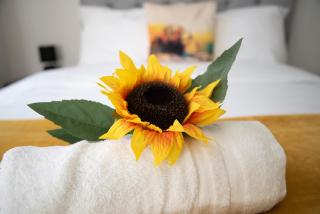 Kyoto Central I 4 BDR House I 50 inch Smart TVs in Rooms I Large Spacious Rooms I Refurbished I Derby City Centre - Derby - 3