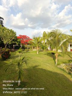 BeautyByNature Estate by "Khadija&Family", limited number of only 2 private rooms, homemade vegetarian dishes in a wonderful setting, - Wa - 6