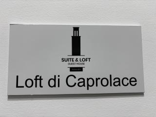 Suite and loft - 7