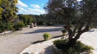 Borgo della Mimosa - San Michele Salentino - 1