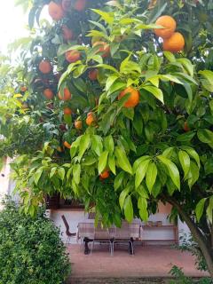 Casa Pratolungo - Velletri - 0