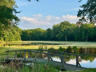 Les Hayes en Sologne - Fontaines-en-Sologne - 7