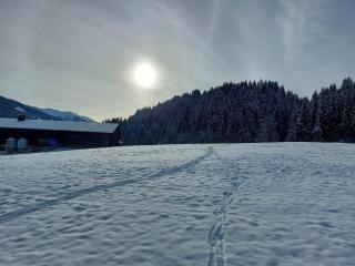 Schwaighof - 8