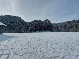Schwaighof - Oberau - 7