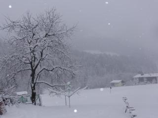 Schwaighof - 5