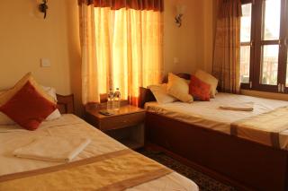 Jungle Wildlife Camp - Sauraha - 6