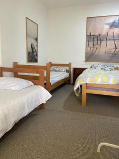 Niva Shared Accomodation - Belgrado - 2