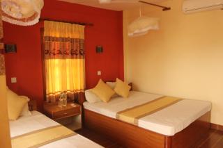 Jungle Wildlife Camp - Sauraha - 4