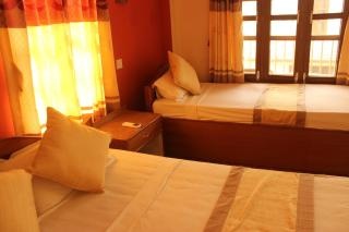 Jungle Wildlife Camp - Sauraha - 3