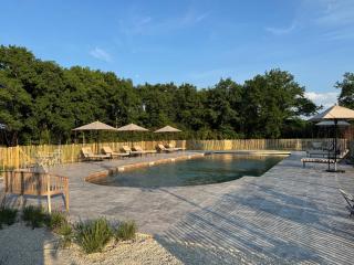 Les Hayes en Sologne - Fontaines-en-Sologne - 9