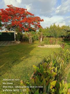 BeautyByNature Estate by "Khadija&Family", limited number of only 2 private rooms, homemade vegetarian dishes in a wonderful setting, - Wa - 8
