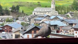 Aux portes du parc national de la Vanoise Appartement Termignon Val Cenis avec Wifi - Termignon - 6