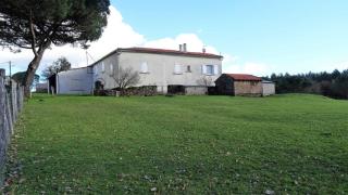 Les hirondelles de montsec - Pampelonne - 9