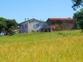 Les hirondelles de montsec - Pampelonne - 8