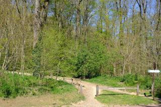 Cozy 2-room apartment between Paris & Versailles - Viroflay - 2