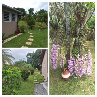 TI-KAZ fleurie, l'escapade bouillonaise - 6