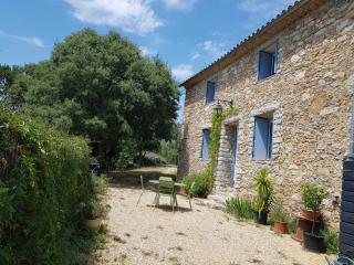 Bergerie du pic saint-loup - Saint-André-de-Buèges - 9