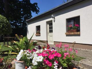 Ferienhaus an der südlichen Boddenküste - Bartelshagen - 7