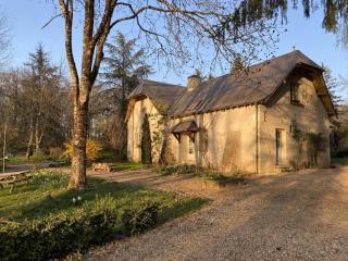 Gîte douillet en forêt d'Amboise, parc boisé 2.5 ha, cheminée, vélos, WiFi, jardin privé, animaux acceptés - FR-1-381-457 - Souvigny-de-Touraine - 0