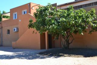 Banyuls - Latour-Bas-Elne - 4