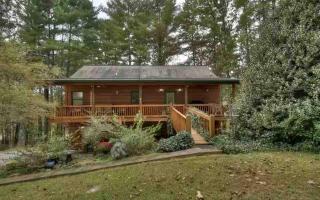 Fightingtown Cabin Retreat, Dog-friendly - Blue Ridge - 5