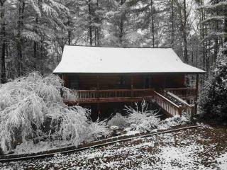 Fightingtown Cabin Retreat, Dog-friendly - Blue Ridge - 2
