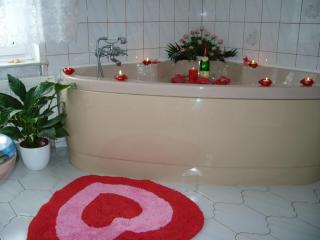 Private Ferienwohnung Fam Wölke - Sondershausen - 8