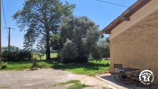 Le chinchilla - Gaillac - 4
