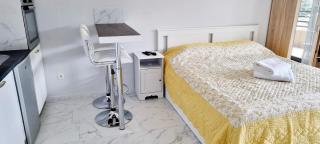 Studio with view of Monaco - Beausoleil - 2