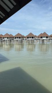 Golden Palm Tree Resort Sepang Avani - 7