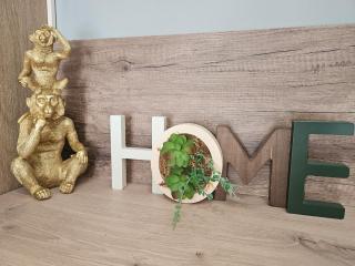 Studio rénové au calme proche de Genève - 2