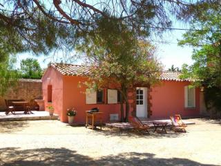 Les pins - Villeneuve-de-la-Raho - 7
