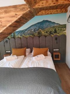 Dom Perełka w Karpaczu KOMINEK,SAUNA - 2