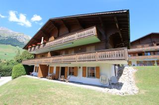 Appartement Palaz 2B - Chateau-d'Oex - 2