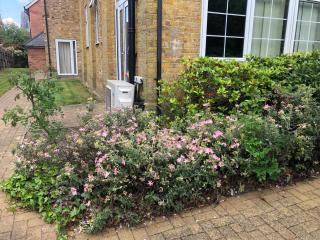 Spacious King room with Private Entrance - near Emirates and Camden and King's Cross - 5 Min to Tube - Finchley - 3
