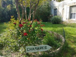 Le Mas d'Icard - Saintes-Maries-de-la-Mer - 0